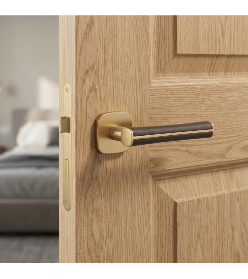 DAVIDIA matt gold door handle designer handle