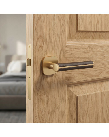 DAVIDIA Matt Brass Door Handles