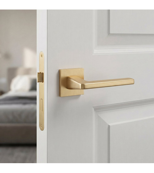 ERBA matt gold door handle designer handle