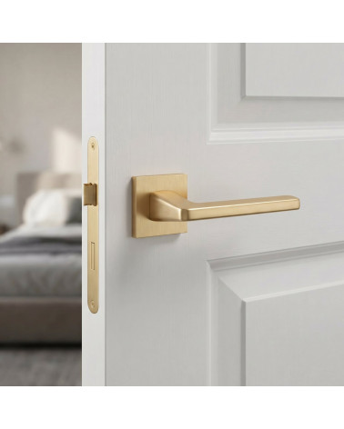ERBA matt gold door handles