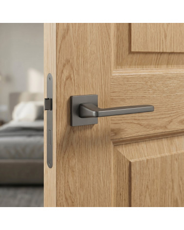 ERBA Graphite Door Handles