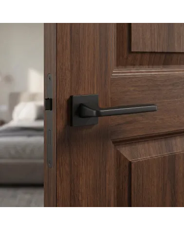 Timeless and Understated Black Door Handle – ERBA Model