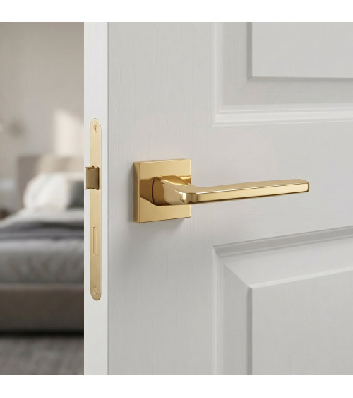Polished brass ERBA door handle designer handle