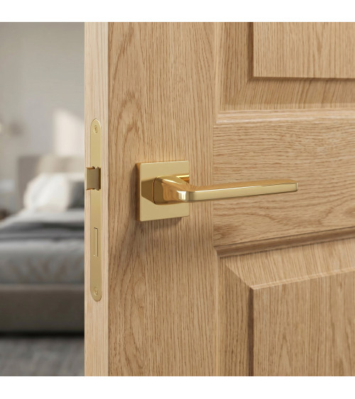 Polished brass ERBA door handle designer handle