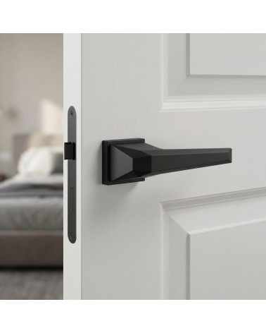 Prisme Black Door Handles