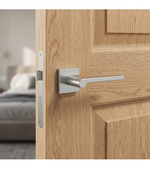 Satin chrome Pandora door handle design hardware