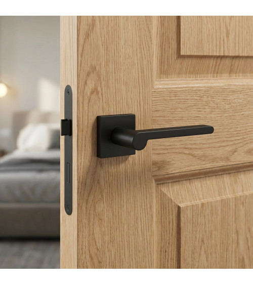 Pandora modern door handle designer handle