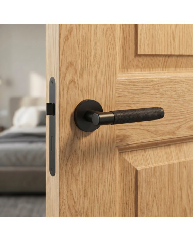 Simple and Bold Matt Black Door Handle - MOLINIA Model
