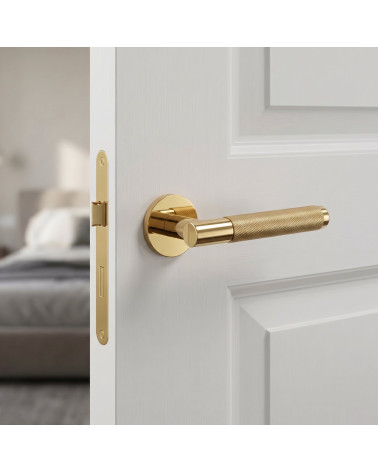 Polished Gold Door Handle with Luxurious Beauty - MOLINIA Model