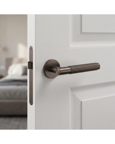 MOLINIA bronze door handles