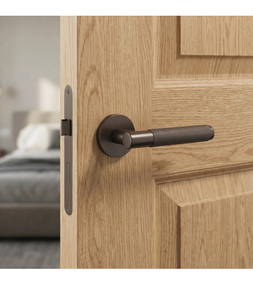 MOLINIA bronze door handle design handle