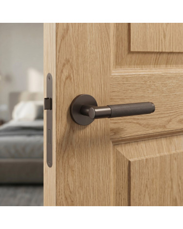 MOLINIA bronze door handles