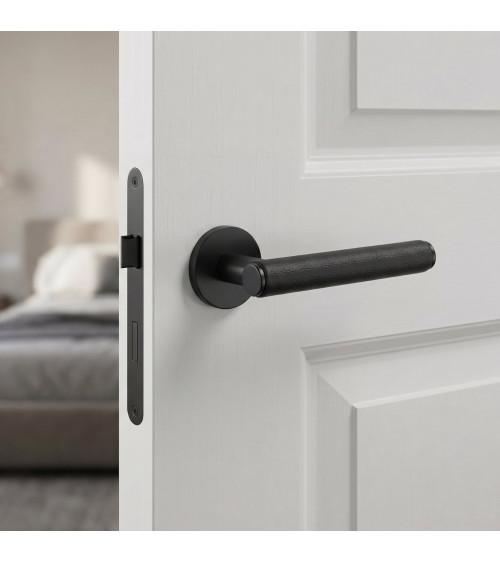 EGERIA black door handle design handle