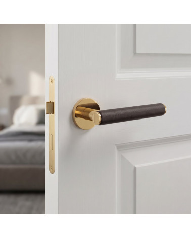 EGERIA polished gold door handles