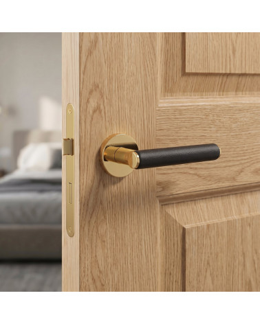 EGERIA polished gold door handles
