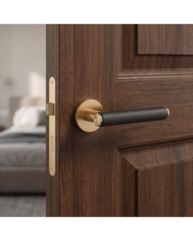 EGERIA matt gold door handles