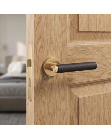 EGERIA matt gold door handles