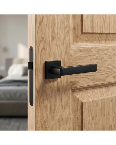 Mysterious and Refined Black Door Handle – STELLA Model