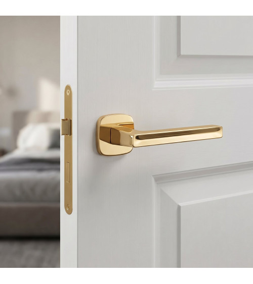 Polished gold door handle PEA design handle