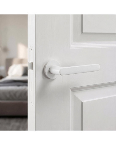 Nesh zamak door handles