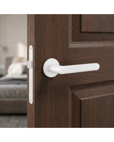 Nesh zamak door handles