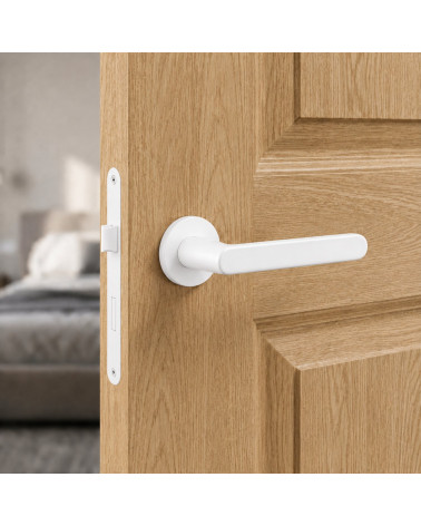 Nesh zamak door handles