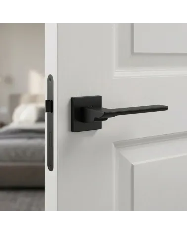 Zamak Door Handle for Unrivalled Solidity - TENDER Model
