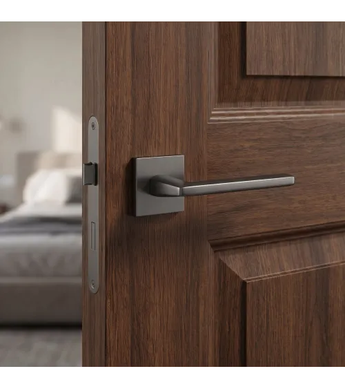Modern door handle EURA design handle