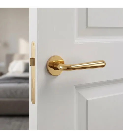 IRGA polished gold door handle design handle
