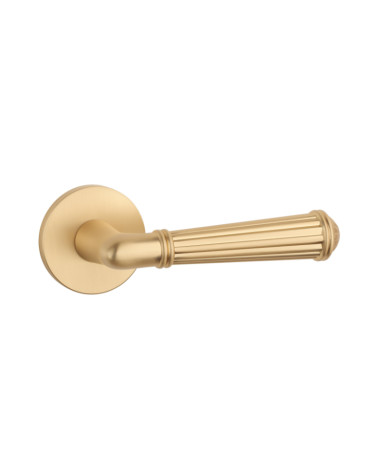Zamak Door Handle - AMARYLIA Model Millapoignées