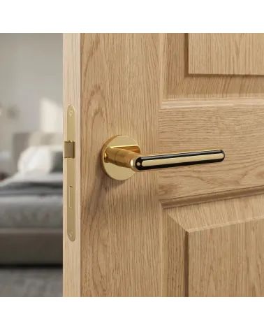 ASTERIA Polished Gold Door Handles
