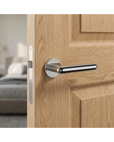 Modern ASTERIA door handles