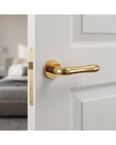 CYNIA polished gold door handle