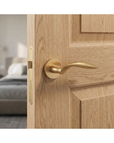 GERBERA Satin Gold Door Handles