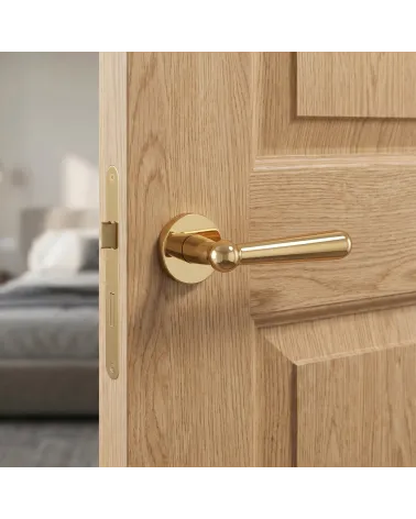 Round polished gold ROSEMARY door handles