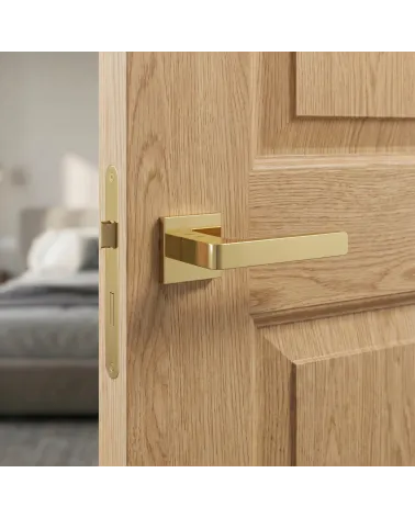 Mandelli Lario Polished Gold Door Handles
