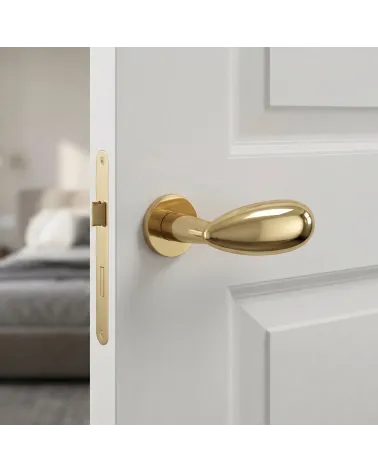 Mandelli Led polished chrome door handles
