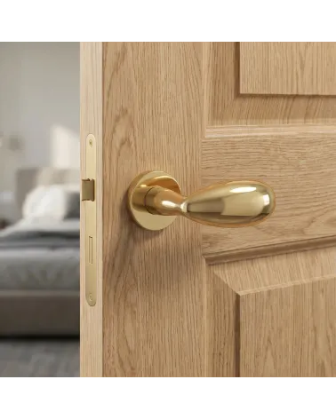Mandelli Led polished chrome door handles