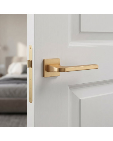 Matt Gold Door Handle with Subtle Elegance - ISMENA Model