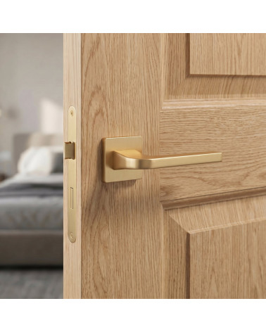Matt Gold Door Handle with Subtle Elegance - ISMENA Model