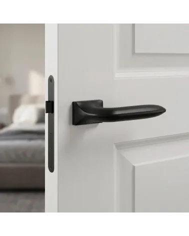 Sleek and Refined Black Door Handle — GLADIOLA Model