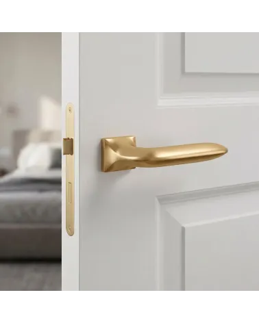 Captivating Door Handle on a Rectangular Plate — GLADIOLA Model