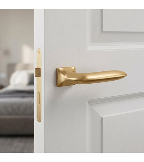 Zamak door handle GLADIOLA design handle