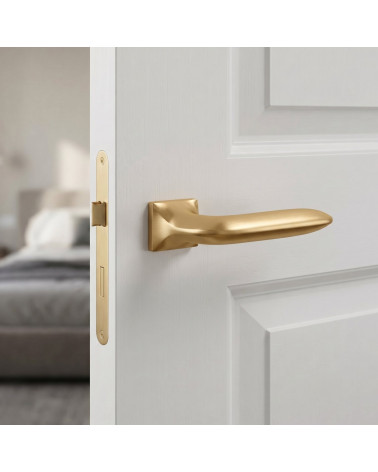High Quality Zamak Door Handle - GLADIOLA Model