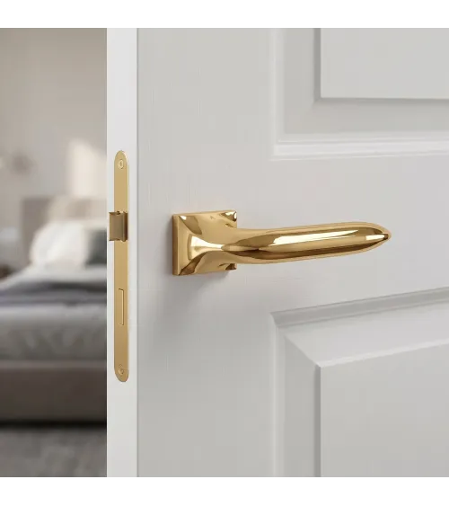 Polished gold GLADIOLA door handle design handle