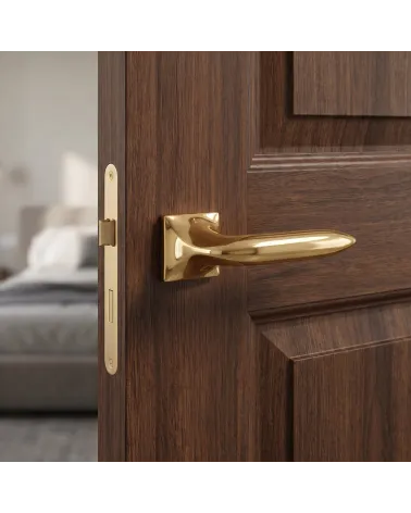 Chic and Brilliant Polished Gold Door Handle - GLADIOLA Model