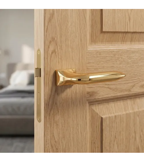 Polished gold GLADIOLA door handle design handle