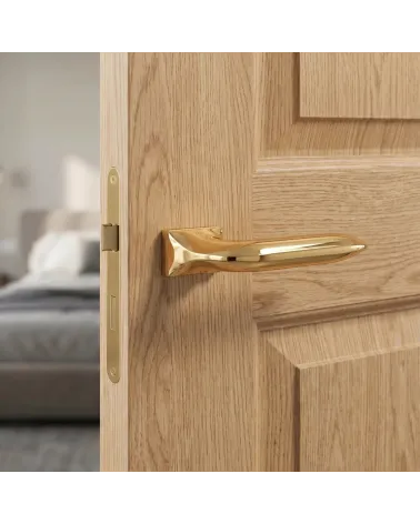 Chic and Brilliant Polished Gold Door Handle - GLADIOLA Model