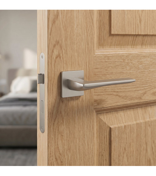 Brushed nickel IRIS door handle designer handle