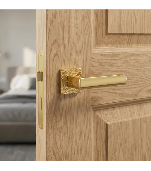 TUPAI 4161-T1 polished gold door handle design handle